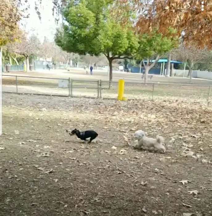 Claremont Pooch Dog Park 5