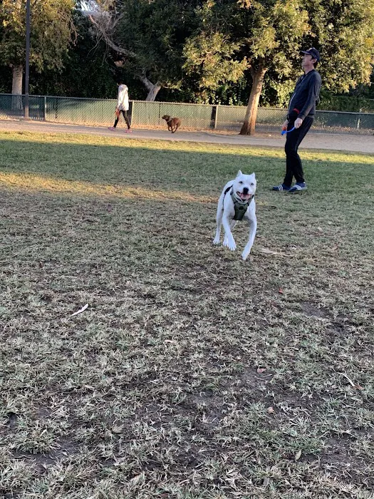Claremont Pooch Dog Park 7