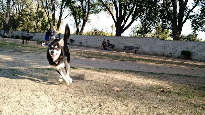 Claremont Pooch Dog Park 4