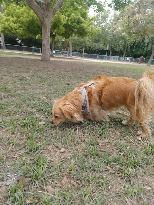 Claremont Pooch Dog Park 10