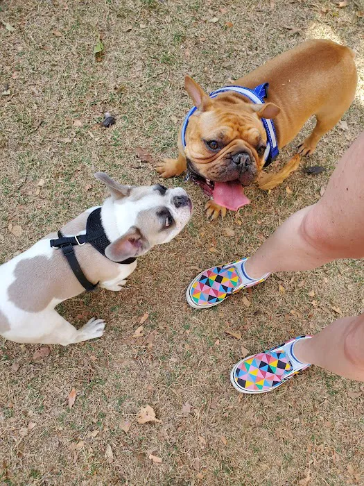 Claremont Pooch Dog Park 3