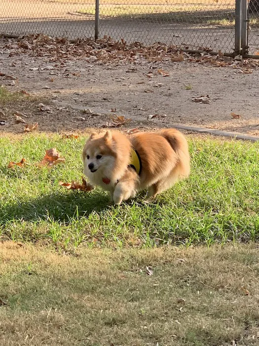 Claremont Pooch Dog Park 9