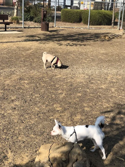 Schimmel Dog Park 3