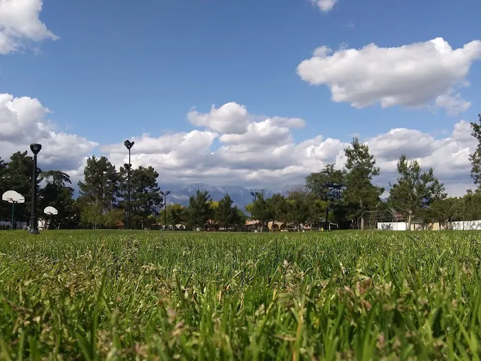 Schimmel Dog Park 2