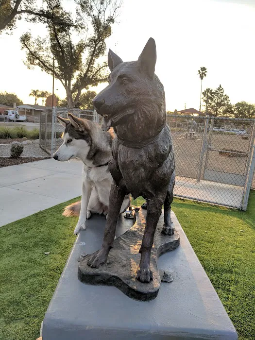 Schimmel Dog Park 8