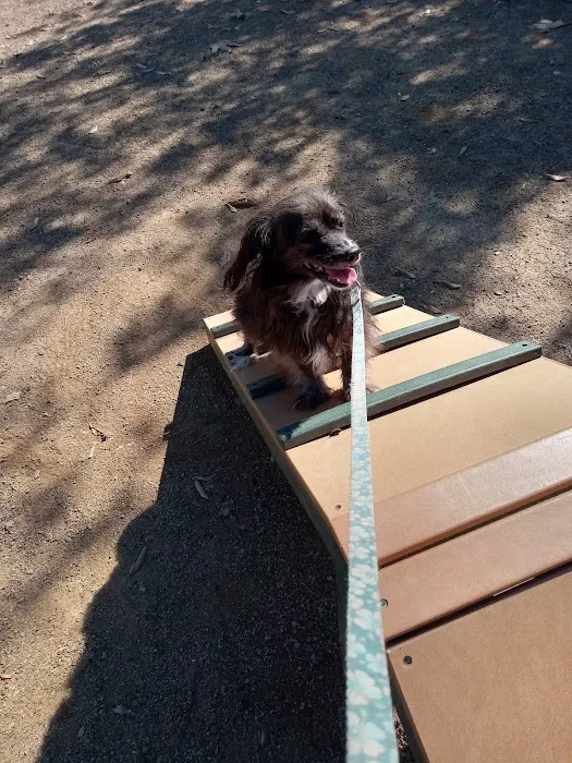 Schimmel Dog Park 6