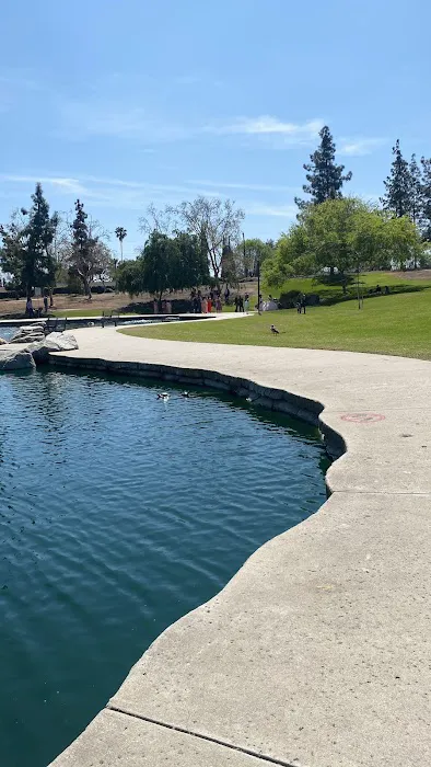Schimmel Dog Park 9