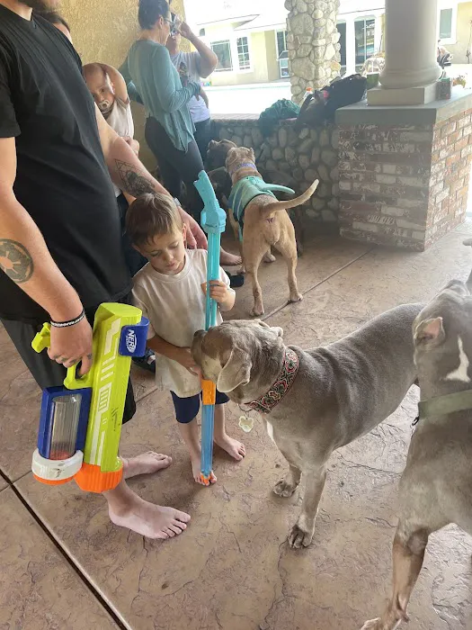 Pup Paradise (Rancho Cucamonga) Sniff Spot Private Pup Play ๐ถ 1