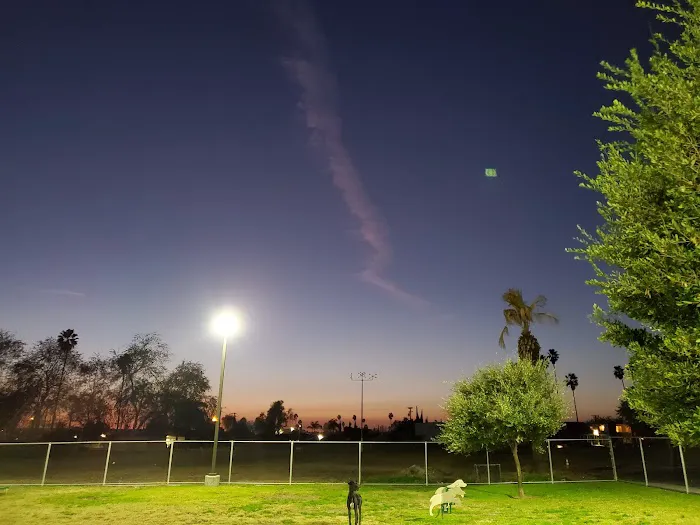 Dog's Park 2