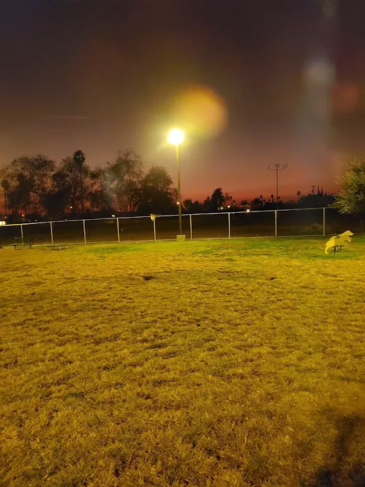 Dog's Park 9