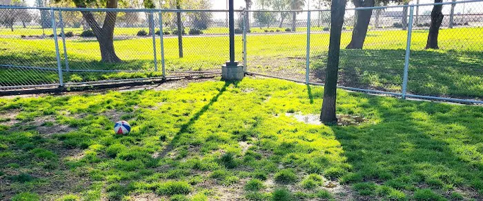 Dog's Park 7