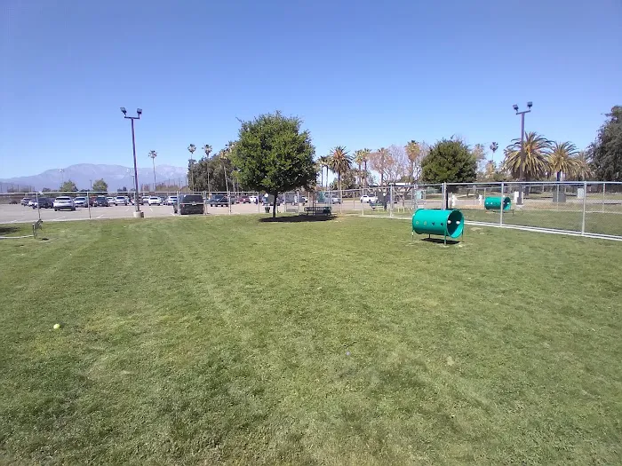 Dog's Park 10