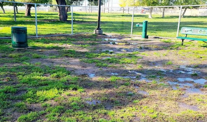 Dog's Park 5