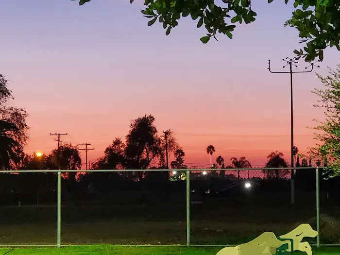 Dog's Park 6