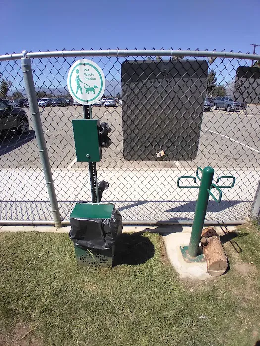 Dog's Park 8