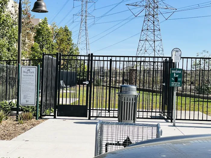 Ivy Dog Park 2