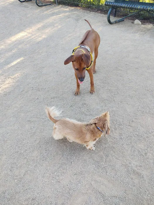 Checkers Dog Park 2