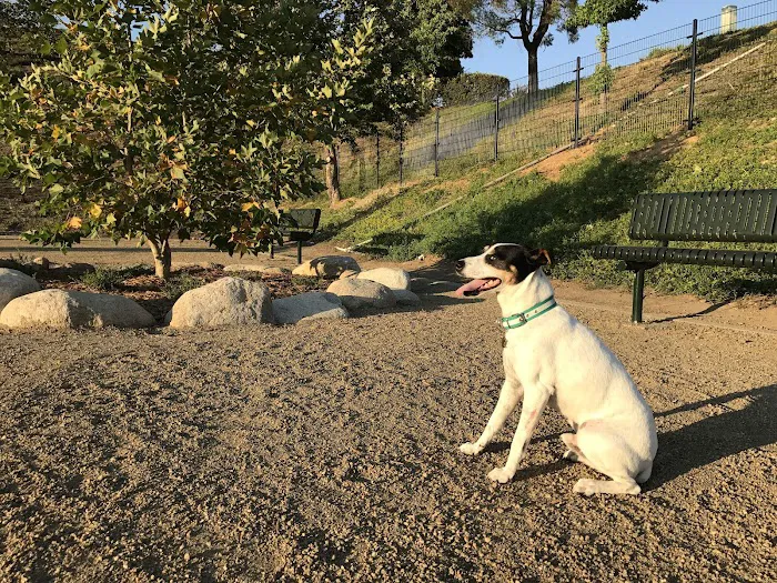 Checkers Dog Park 8