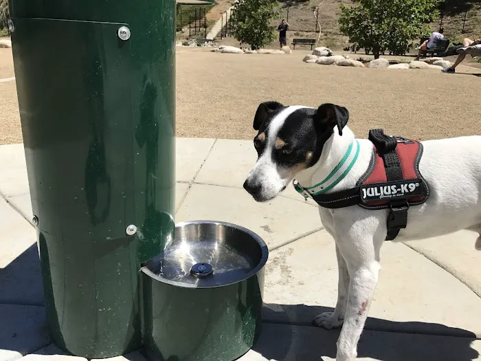 Checkers Dog Park 4