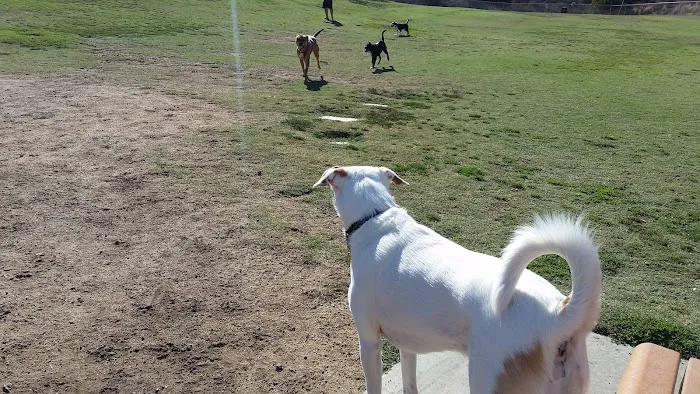 Oak Canyon Dog Park 10