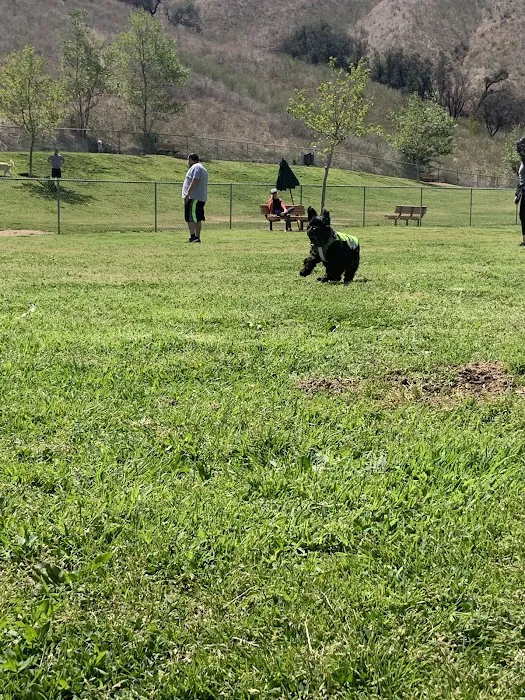 Oak Canyon Dog Park 5