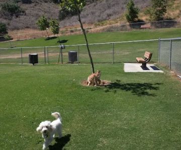 Oak Canyon Dog Park