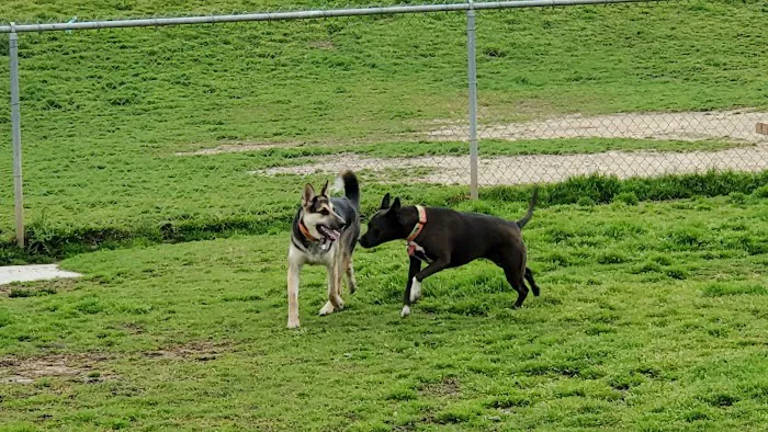 Oak Canyon Dog Park 4