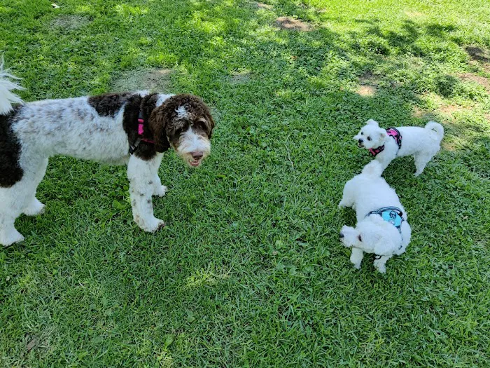 Oak Canyon Dog Park 3