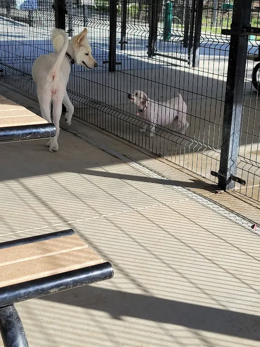 Westlake Village Dog Park 5