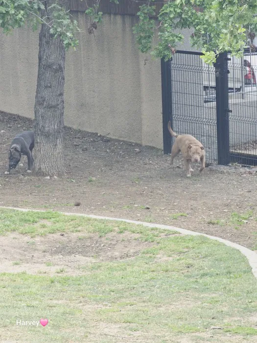 Westlake Village Dog Park 7