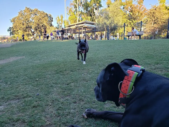 Westlake Village Dog Park 1