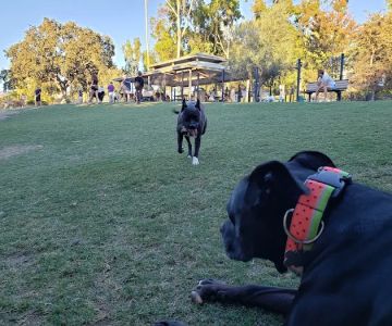 Westlake Village Dog Park