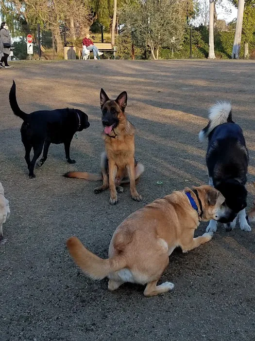 Westlake Village Dog Park 6