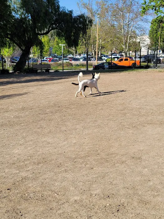Westlake Village Dog Park 4