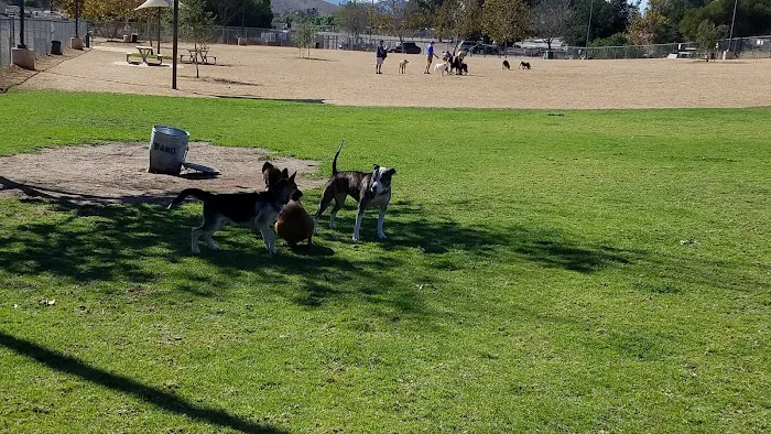 Conejo Creek Dog Park 2