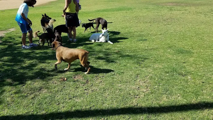 Conejo Creek Dog Park 9