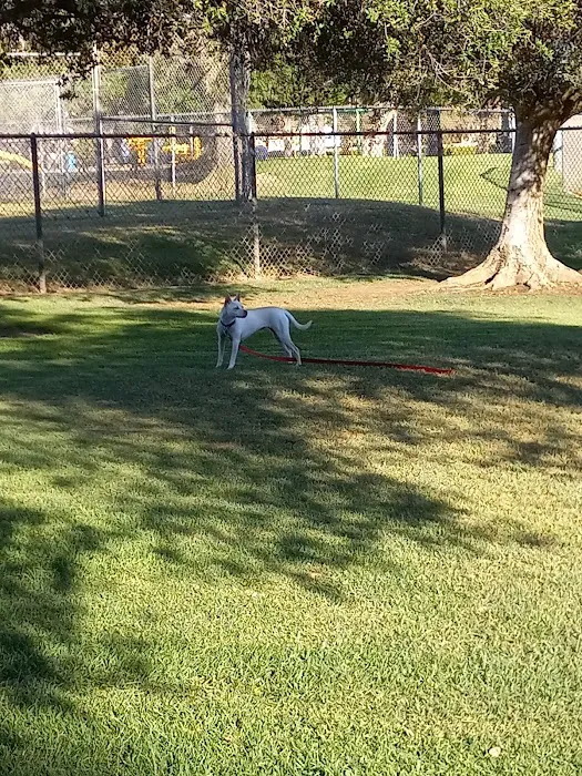 Kimber Dog Park 8