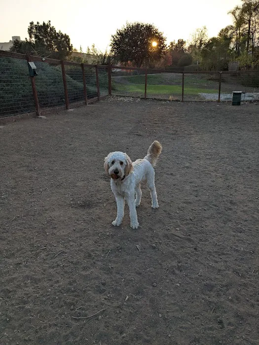 Kimber Dog Park 9