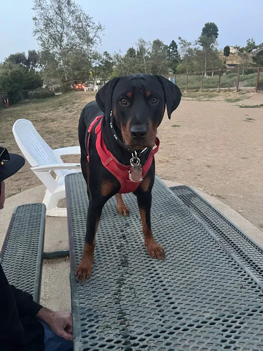 Kimber Dog Park 1