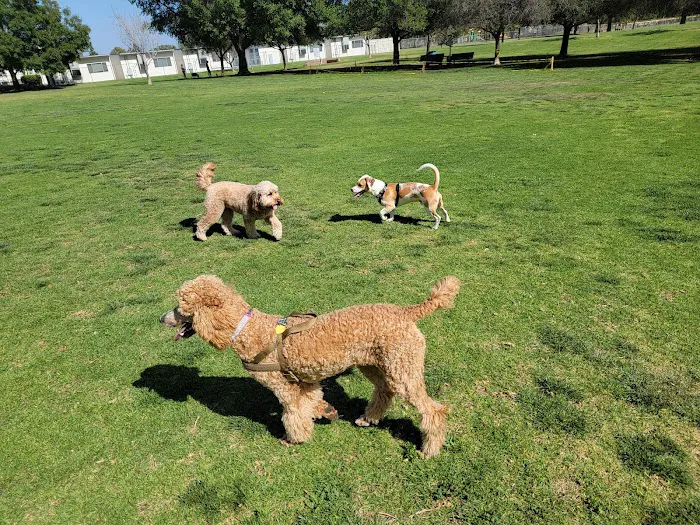 Mission Oaks Dog Park 2
