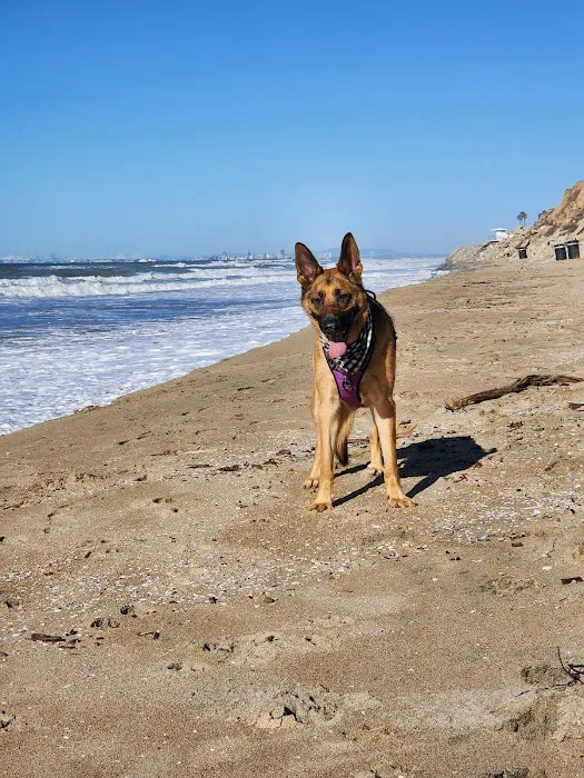 Dog Beach | Huntington Beach 4