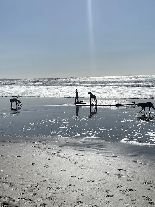 Dog Beach | Huntington Beach 10