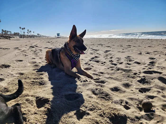 Dog Beach | Huntington Beach 6