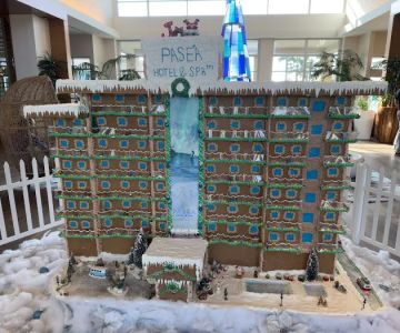 PawSea Dog Relief at Pasea Hotel