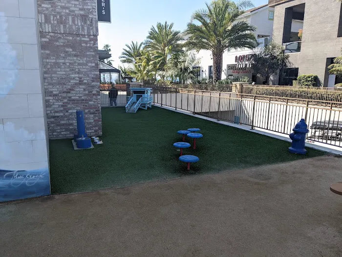 PawSea Dog Relief at Pasea Hotel 2