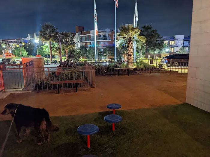 PawSea Dog Relief at Pasea Hotel 4