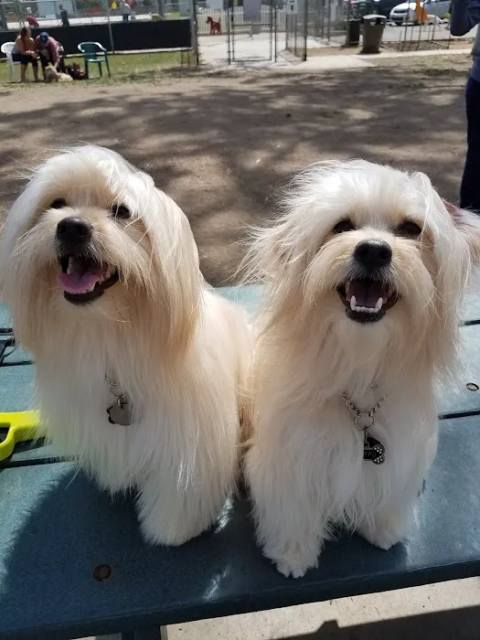 Bark Park 9