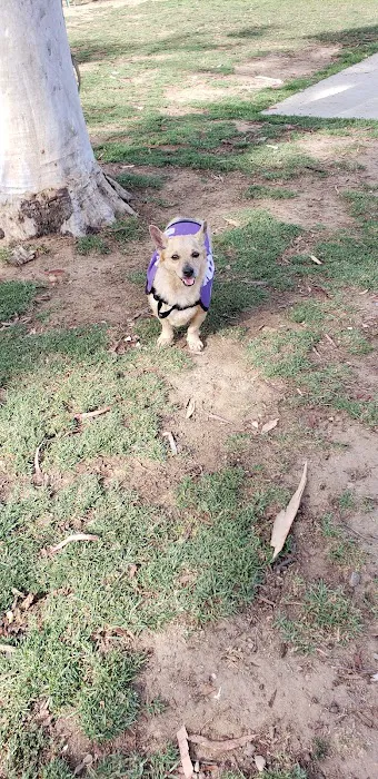 Bark Park 10