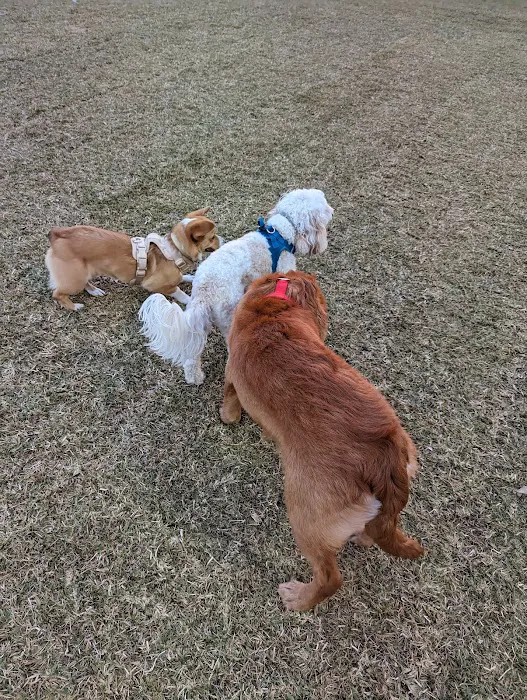 Bark Park 4