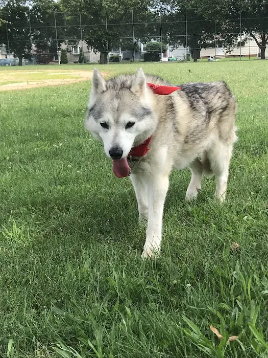 Bark Park 6